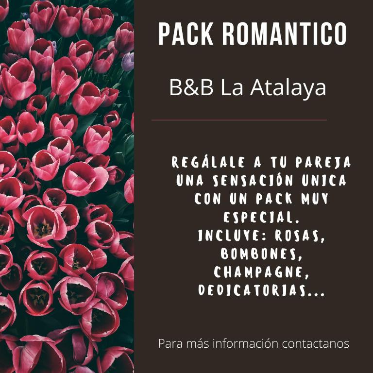 Fotografie z fotogalerie ubytování B&B La Atalaya v destinaci Olite