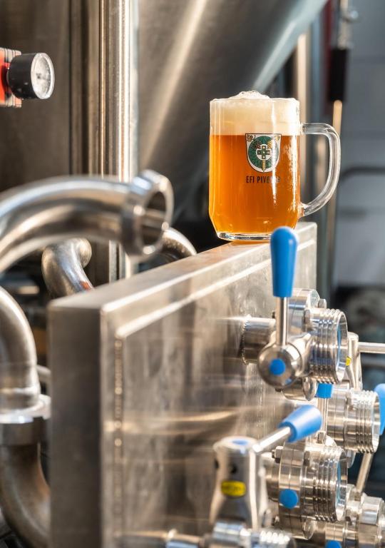 EFI SPA Hotel Superior & Pivovar - Resim 19