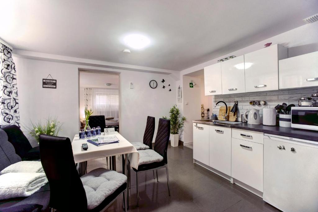 Kuchyňa alebo kuchynka v ubytovaní Apartamenty Bieszczady