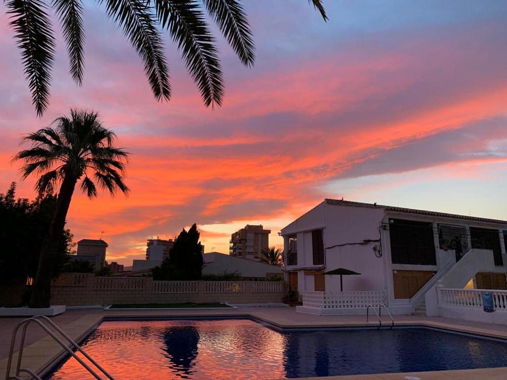 Amor de Helene, Alicante – Updated 2023 Prices
