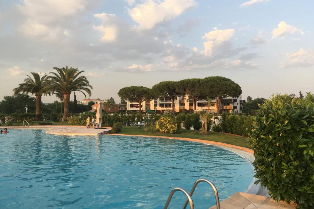 uma grande piscina com palmeiras e casas em Apartment with swimming pool and parking in Mandelieu Marina em Mandelieu-la-Napoule