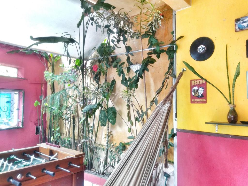 Fotografie z fotogalerie ubytování Leo's Clan Beach Hostel v destinaci Paraty