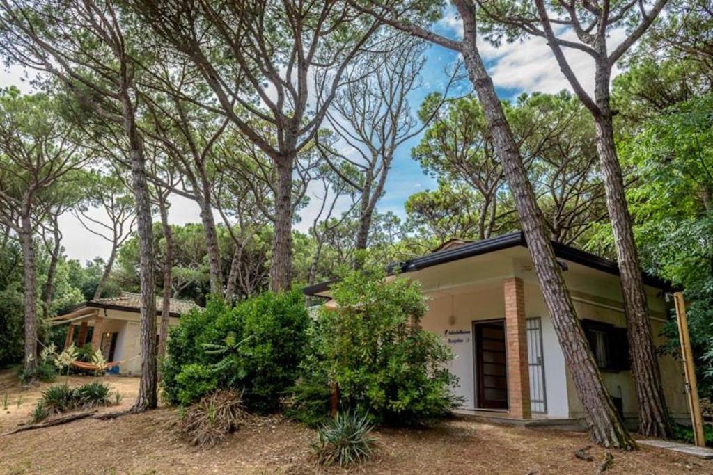 a small house in the woods with trees at Arco Bungalow in Eraclea Mare