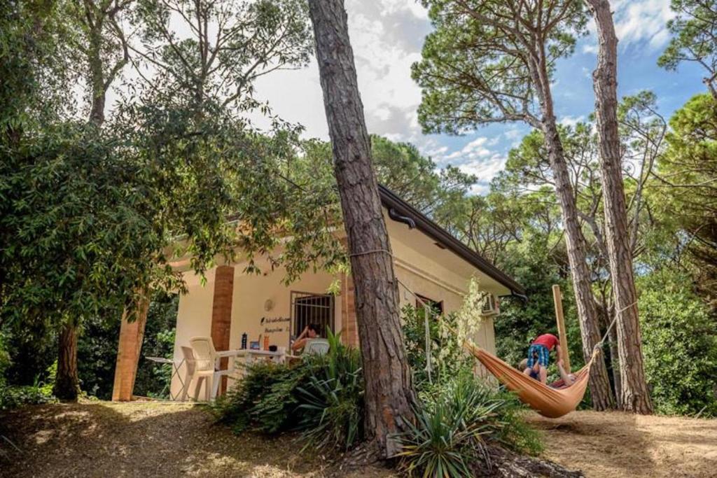 Vonkajšia záhrada v ubytovaní Arco Bungalow