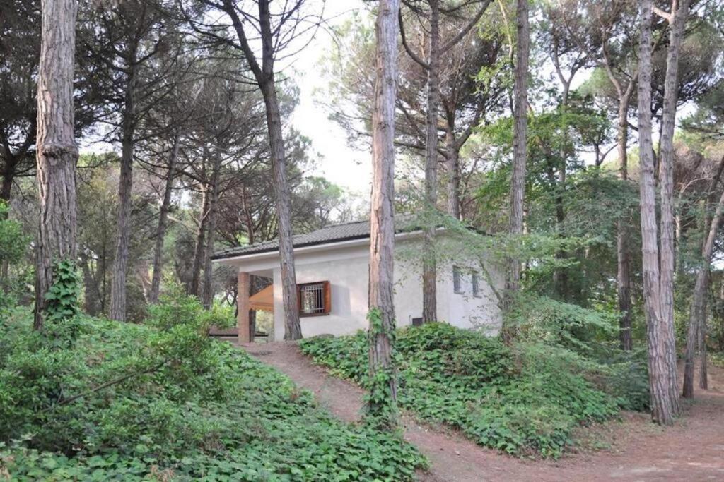 Vonkajšia záhrada v ubytovaní Arco Bungalow
