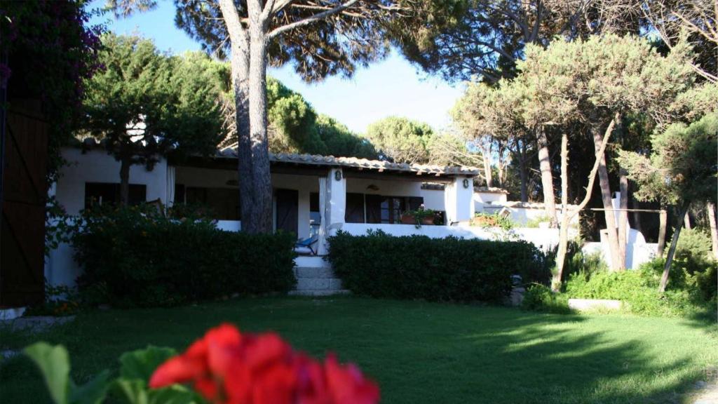 Vonkajšia záhrada v ubytovaní Villa con discesa privata a mare