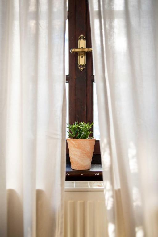 Fotografie z fotogalerie ubytování Philos Guesthouse v destinaci Makrinítsa