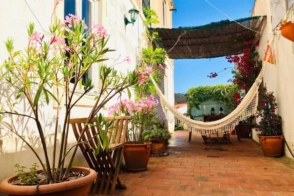 a patio with a hammock and some plants and flowers at La Casa Flores, maison traditionnelle portugaise in Odeceixe
