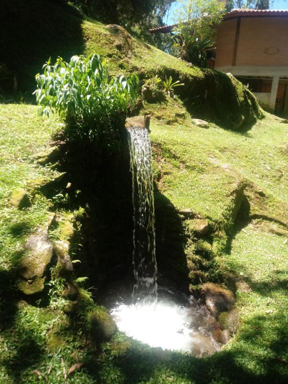  Chale Truta da Floresta 2
