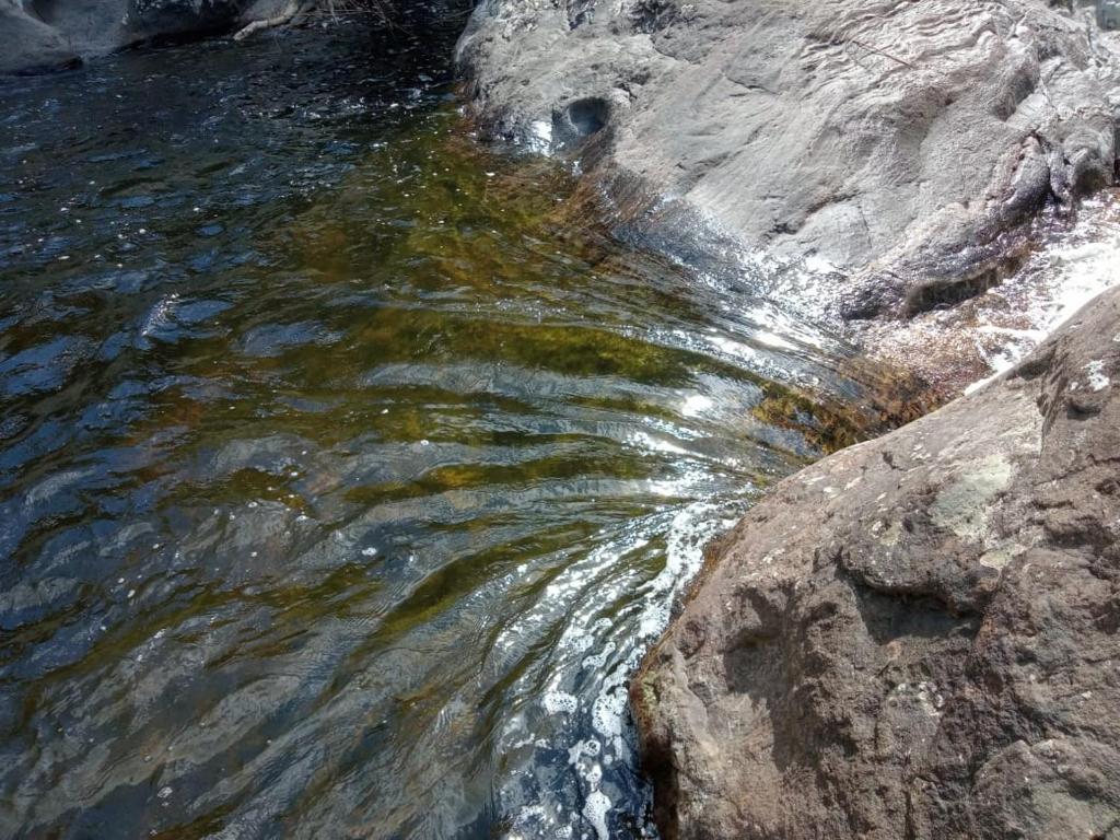  Chácara Recanto dos Pássaros com Rio no terreno
