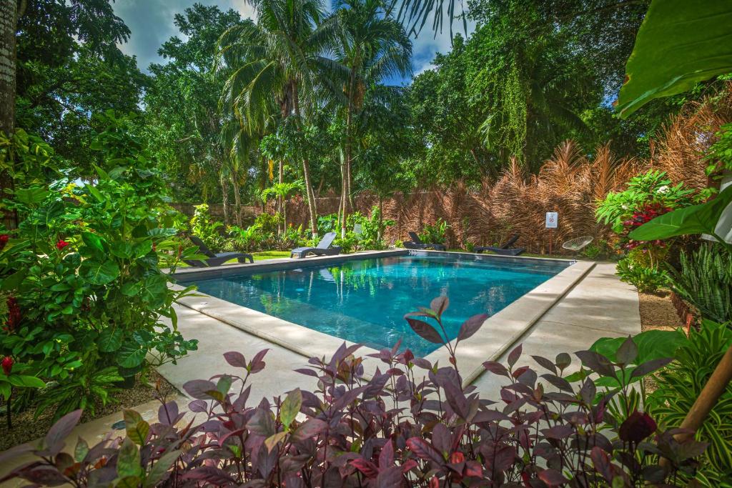 a swimming pool in a garden with trees at Tierra Maya Hotel Spa & Sanctuary in Bacalar