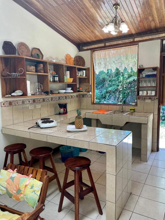 Kuchyň nebo kuchyňský kout v ubytování Finca Isla Rainforest Retreat