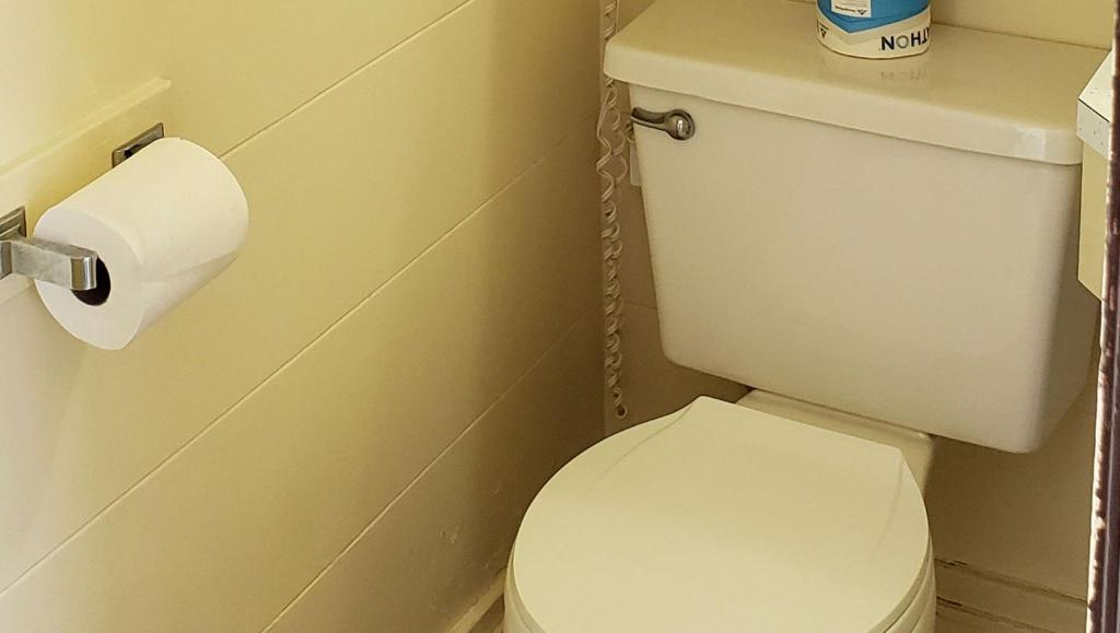 a bathroom with a toilet with a roll of toilet paper at Windmill Inn Lynden in Lynden