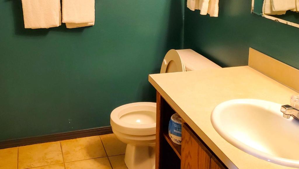 a green bathroom with a toilet and a sink at Windmill Inn Lynden in Lynden