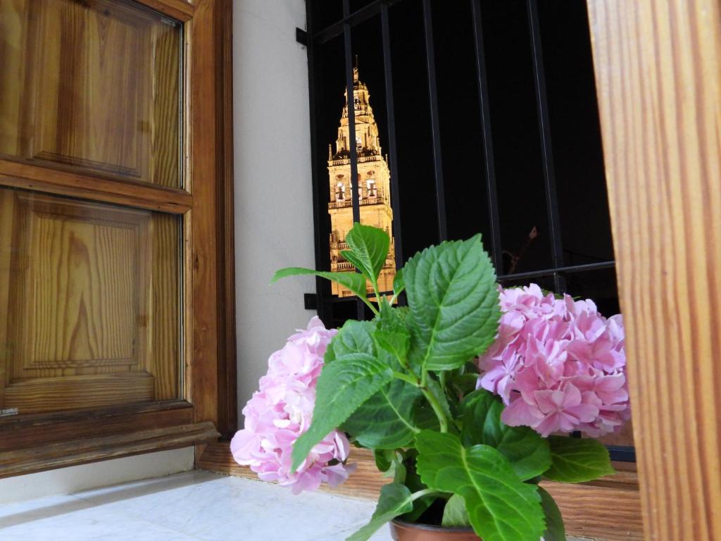 a vase with pink flowers sitting next to a window at La Calleja de la Mezquita in Córdoba