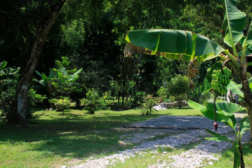  Sitio com linda casa pertinho da praia