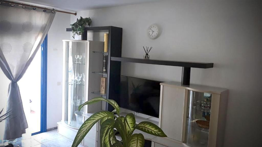 a living room with a tv and a plant at Peñamar Apartamentos in Puerto del Carmen