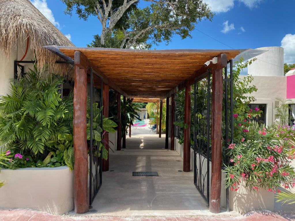 Fotografie z fotogalerie ubytování Blue Palm Bacalar v destinaci Bacalar