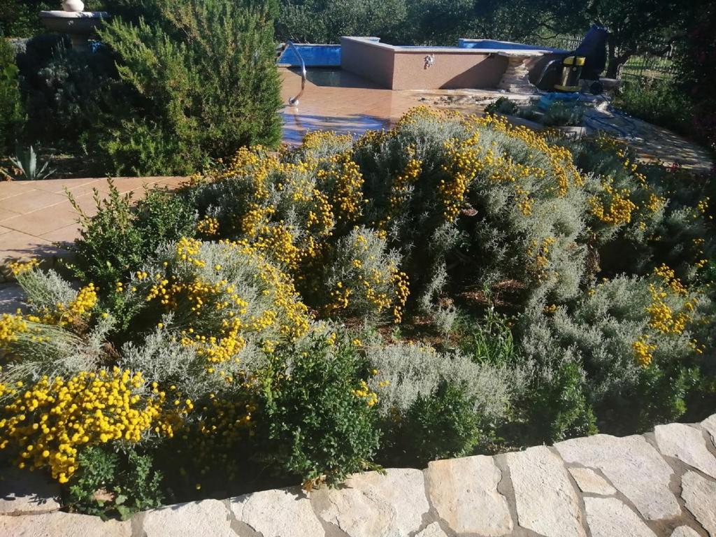 Vonkajšia záhrada v ubytovaní Extraordinary Villa Marija in Kastela