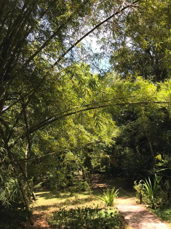  Chalé à beira do rio Jaguareguava na Mata Atlântica em Bertioga SP