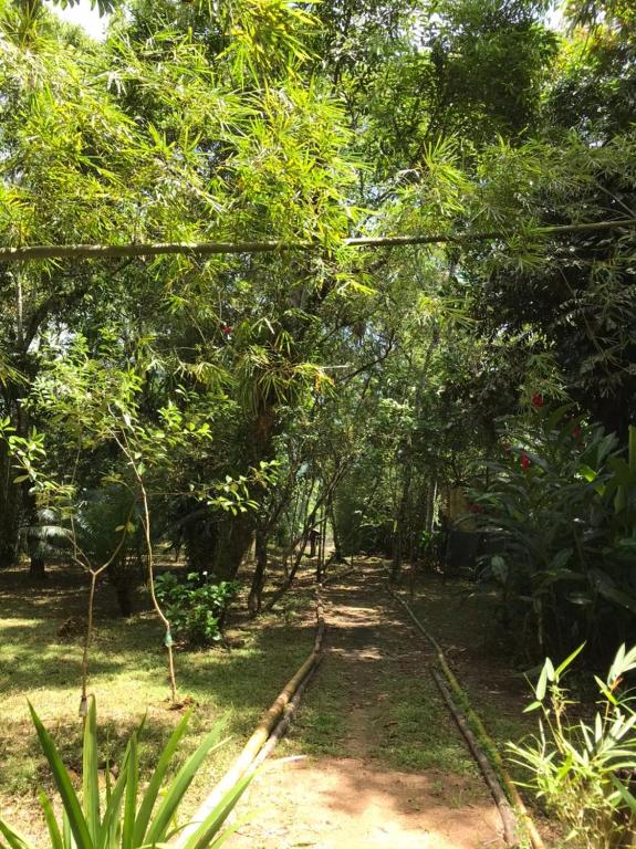  Chalé à beira do rio Jaguareguava na Mata Atlântica em Bertioga SP