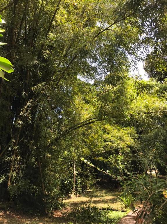  Chalé à beira do rio Jaguareguava na Mata Atlântica em Bertioga SP