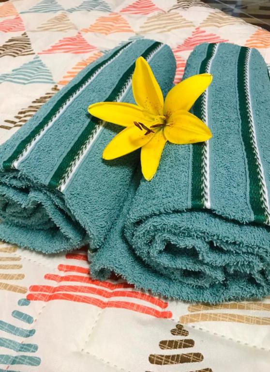  Chalé à beira do rio Jaguareguava na Mata Atlântica em Bertioga SP