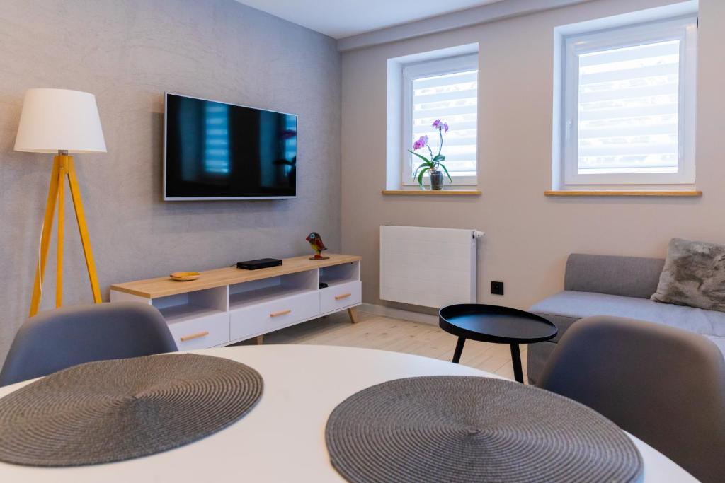 Televízia a/alebo spoločenská miestnosť v ubytovaní Apartament Salamandra