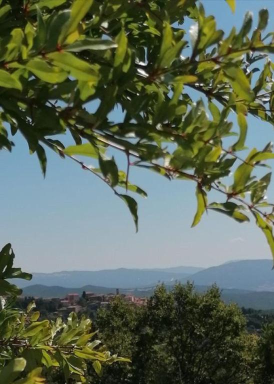Príroda v okolí apartmánu