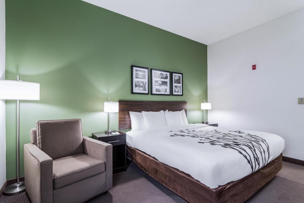 Sleep Inn & Suites Smithfield near I-95 - King Room - Accesible/no Fumar