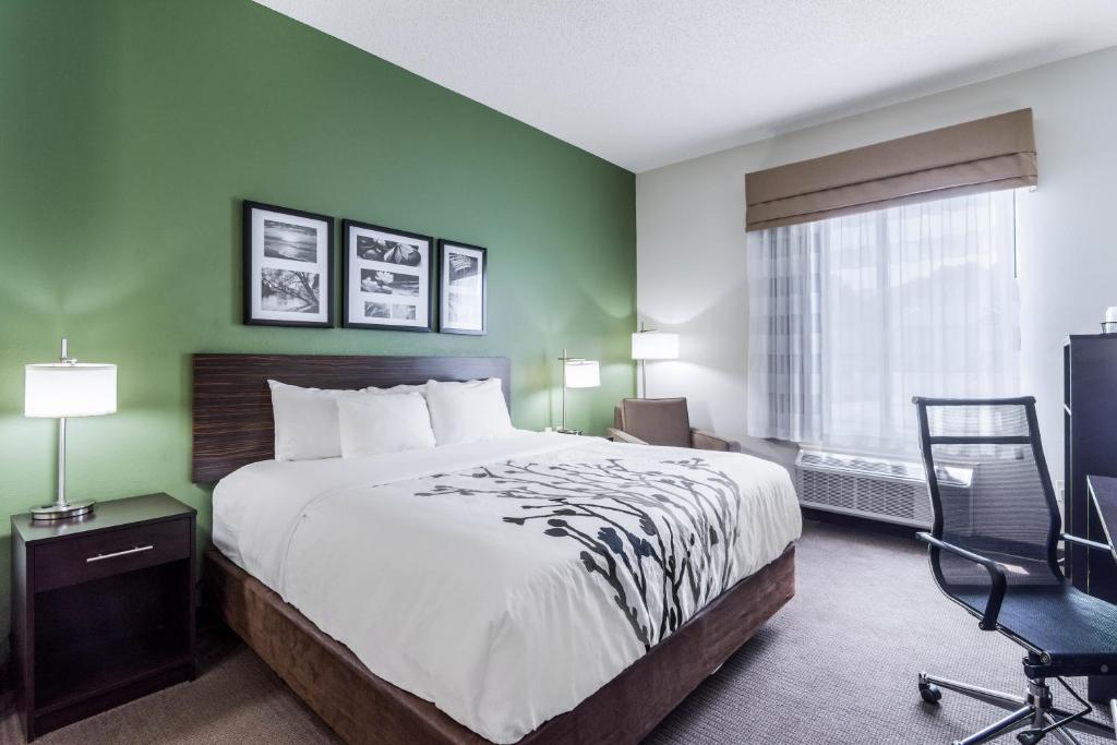 Sleep Inn & Suites Smithfield near I-95 - Room King Estándar: No Fumar