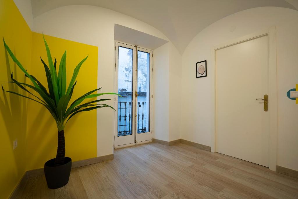 Apartamento La Machacona Paneras - 11