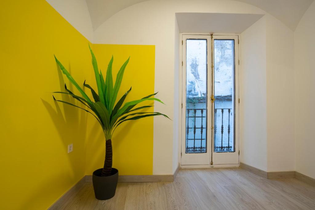 Apartamento La Machacona Paneras - 10