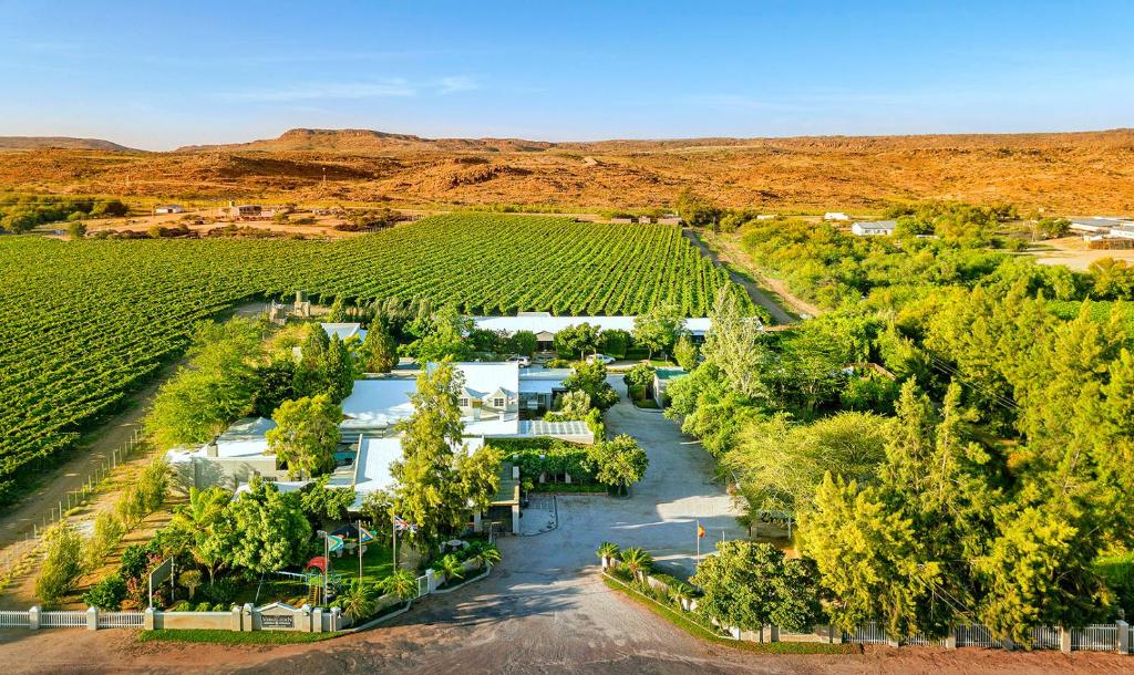 uma vista aérea de uma vinha com uma casa e árvores em Kakamas Hotel em Kakamas