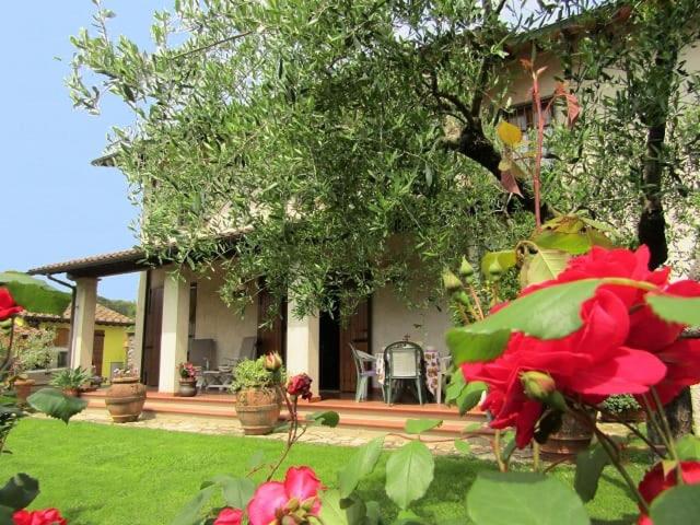 dom z ogródkiem z kwiatami przed nim w obiekcie Casa vacanze Lulù w mieście Camaiore