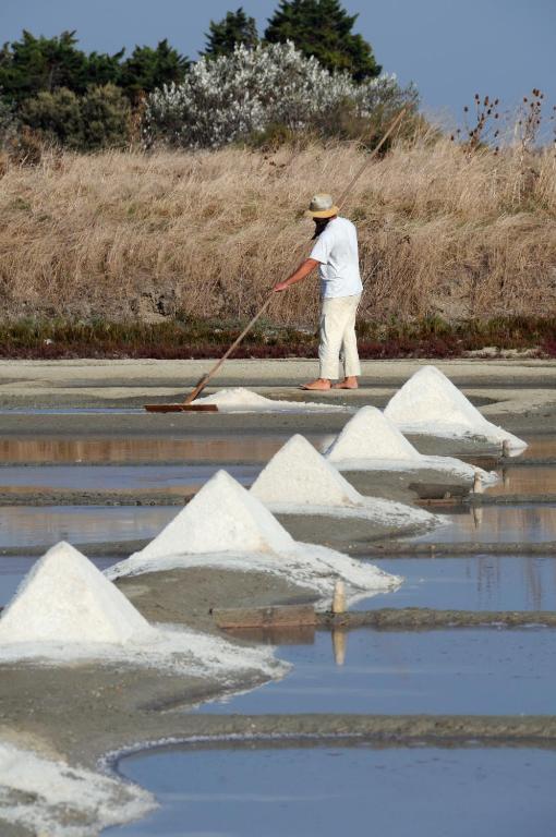 a man is using a broom to clean the water at Hôtel Restaurant & Spa Plaisir in Le Bois-Plage-en-Ré