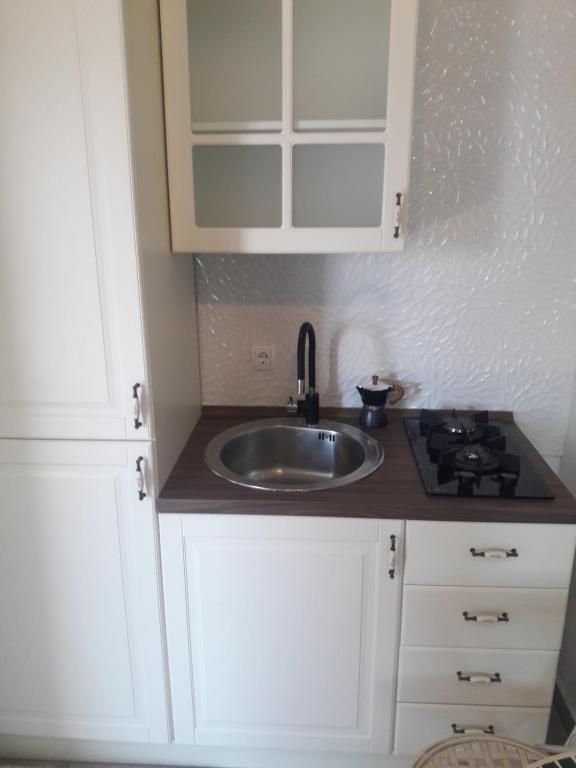Kuchyňa alebo kuchynka v ubytovaní Robinson Medvidina Small room