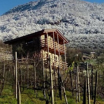 a building in a field with a mountain in the background at Una casa tra gli alberi in Tresivio