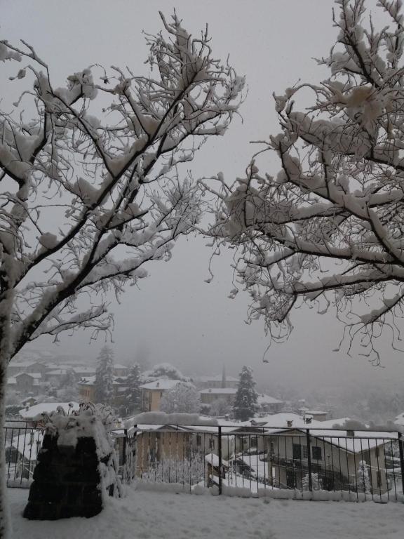 Villa Primula during the winter