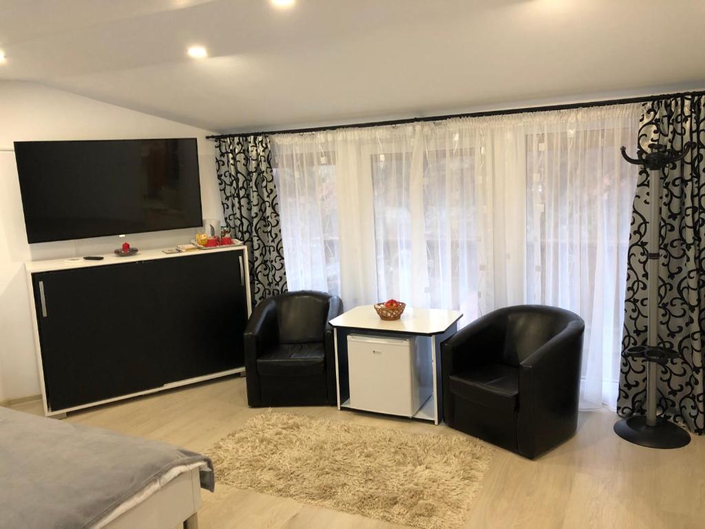 1 dormitorio con 1 cama, 2 sillas y TV en Toni Apartment, en Sighişoara