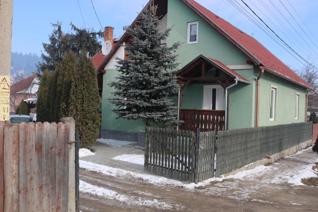 a green house with a fence in front of it at Brigigyop in Lunca de Sus