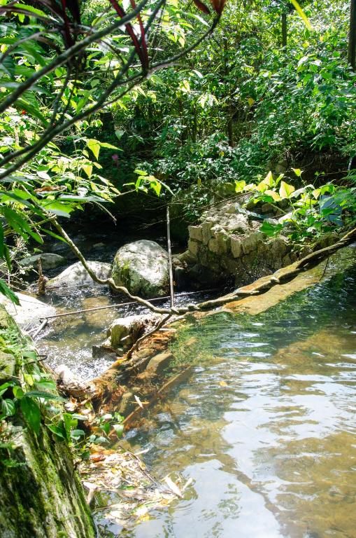  Casinha na Mata próximo à Cachoeira - Cocaia135