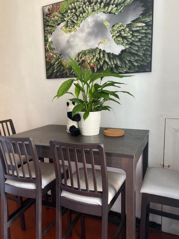 une table à manger avec deux chaises et une plante en pot dans l'établissement Marseille t2 de charme, à Marseille