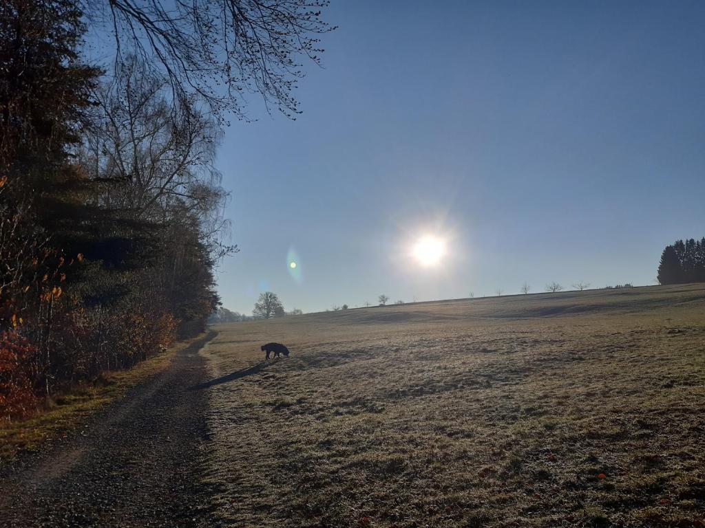 Příroda nedaleko apartmánu