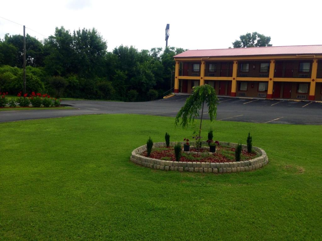 a small tree in a flower bed in a yard at Duffys Motel - Calhoun in Calhoun