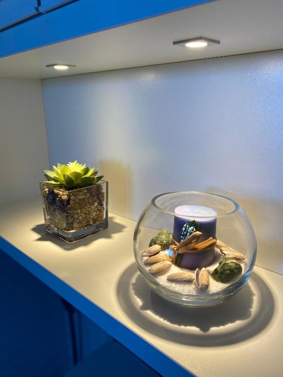  Flat Inteiro: Beach Class Eco Life/Muro Alto