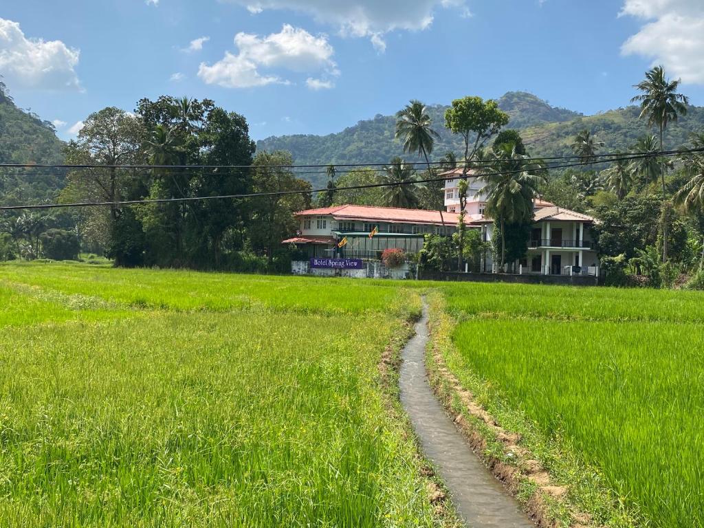 um campo de arroz com uma casa ao fundo em Hotel Spring View em Matale