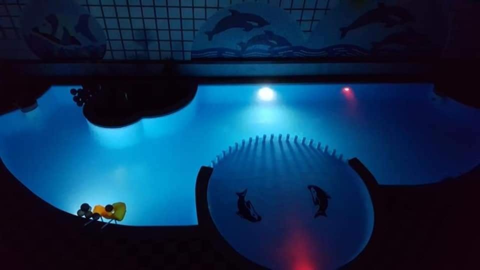 Hosté ubytování apartman Marek