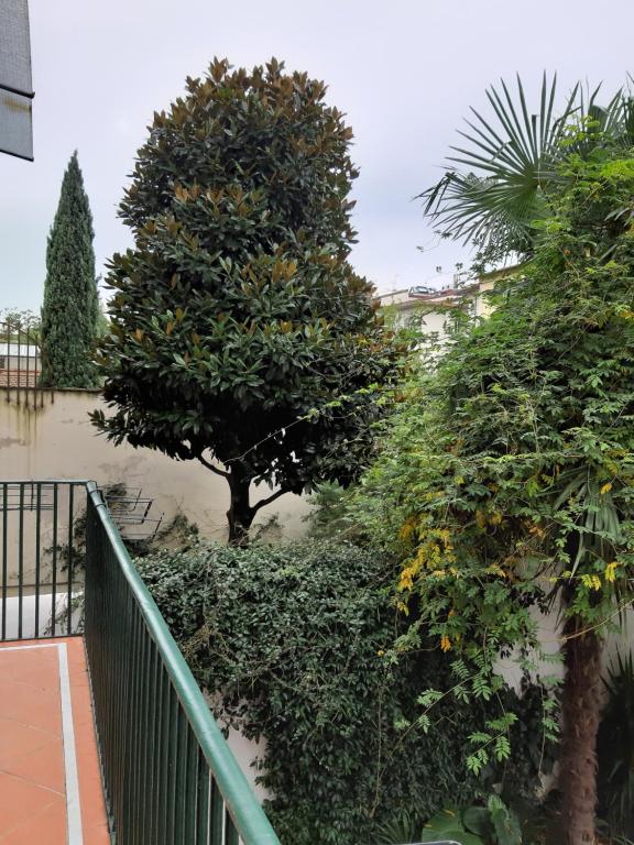Apartment ninnananna - Apartment With Garden View