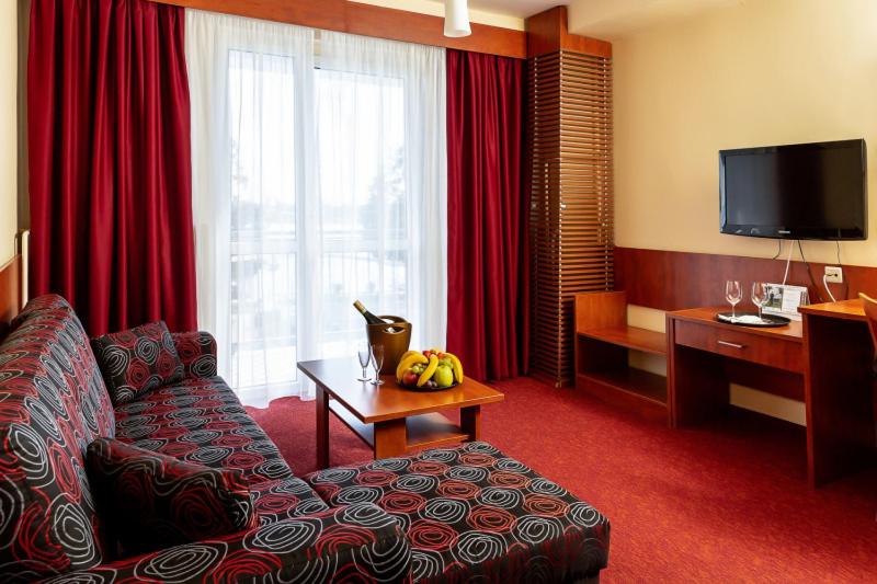 TV a/nebo společenská místnost v ubytování Hotel Senec Aqua Resort - Family friendly